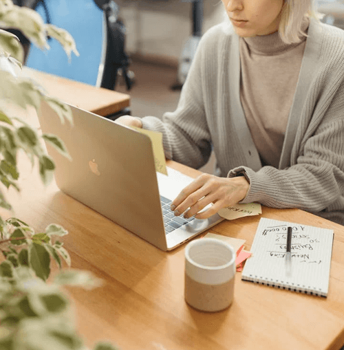 Drazelionix Abbildung des Betreuungsteams